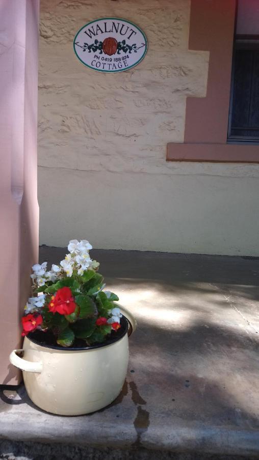 Walnut Cottage Angaston Exterior foto